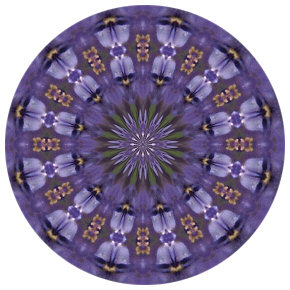 Mandala Anima de Jung